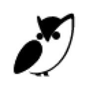 Logo VIQI CONSULTING