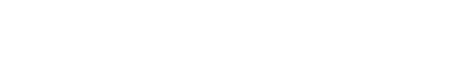 Logo VISAGE SCIENCE AND TECHNOLOGY