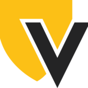 Logo VISION SECURITE PRIVEE / VSP