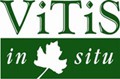 Logo VITIS