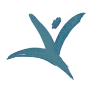 Logo VIVRE DANS SON PAYS
