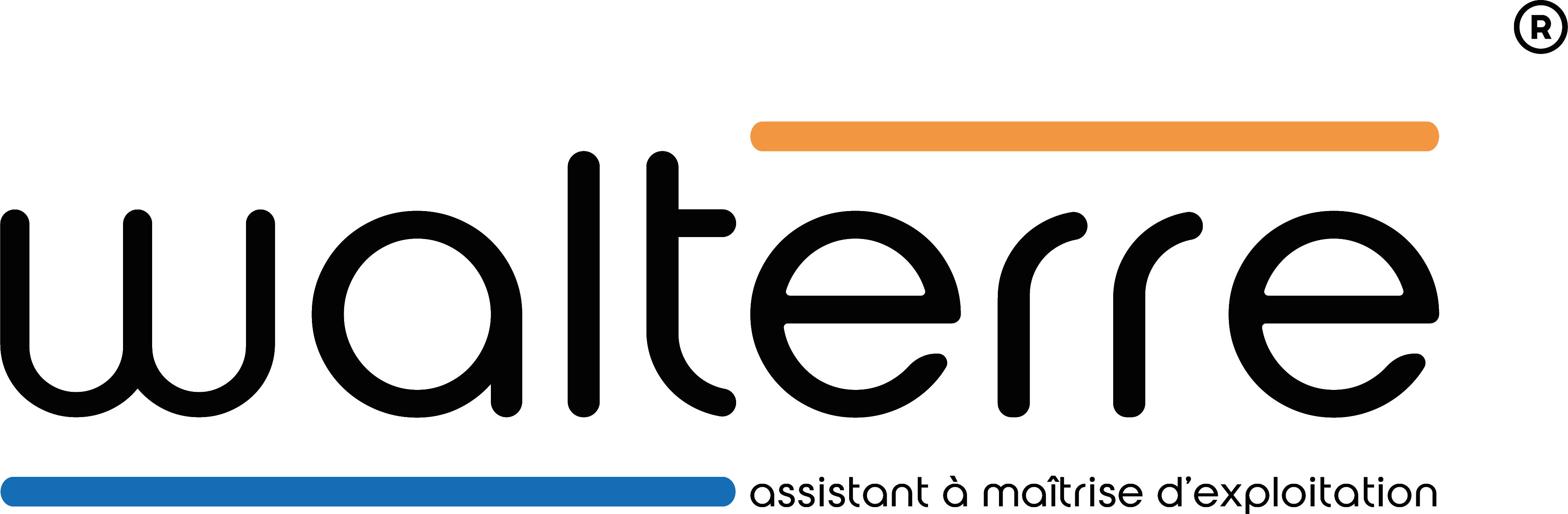 Logo WALTERRE