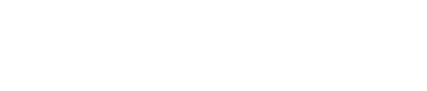 Logo WESLANE