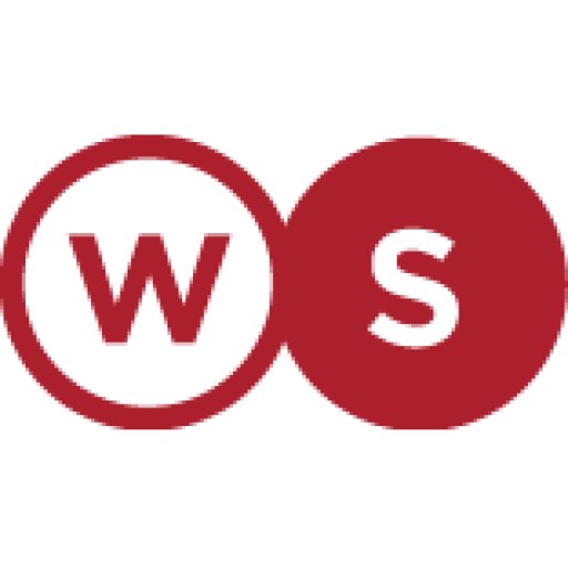 Logo WHITE STORM