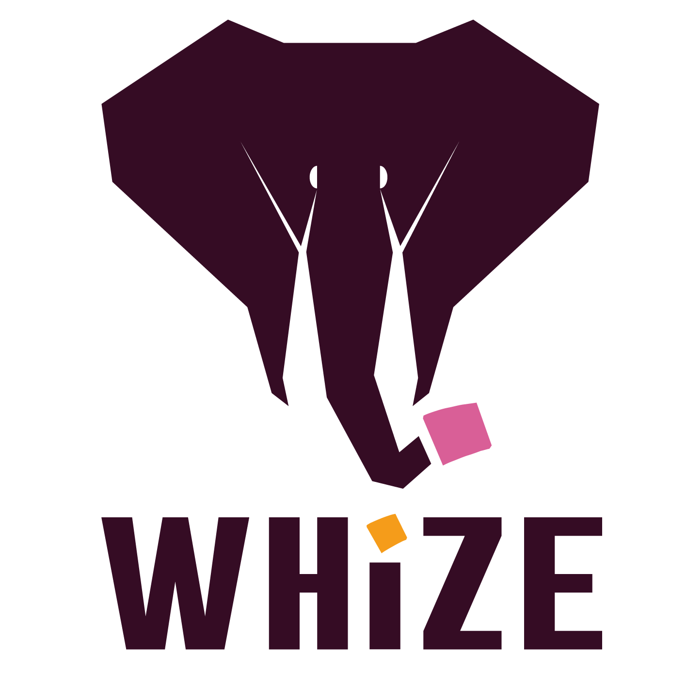 Logo WHIZE