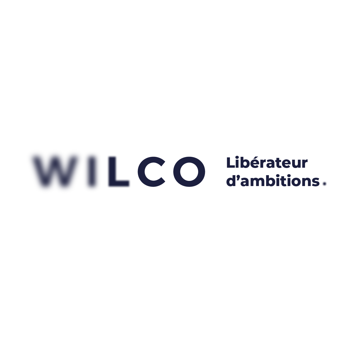 Logo WILCO SERVICES