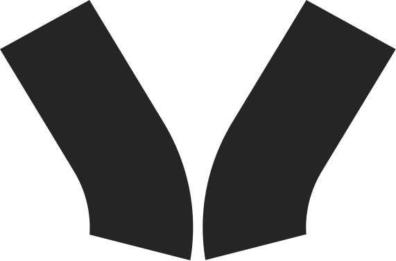Logo WIREPAS FRANCE
