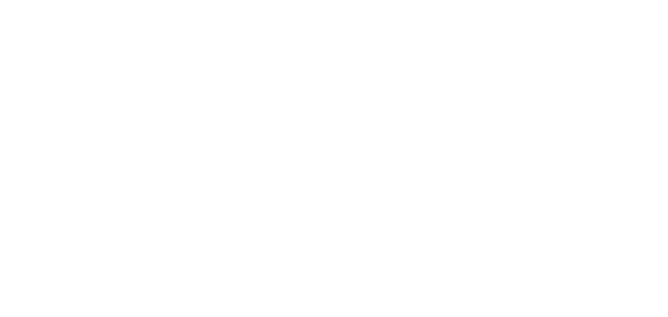 Logo WISE-INTEGRATION