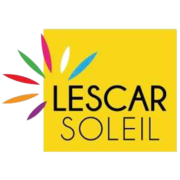 Logo WOK LESCAR