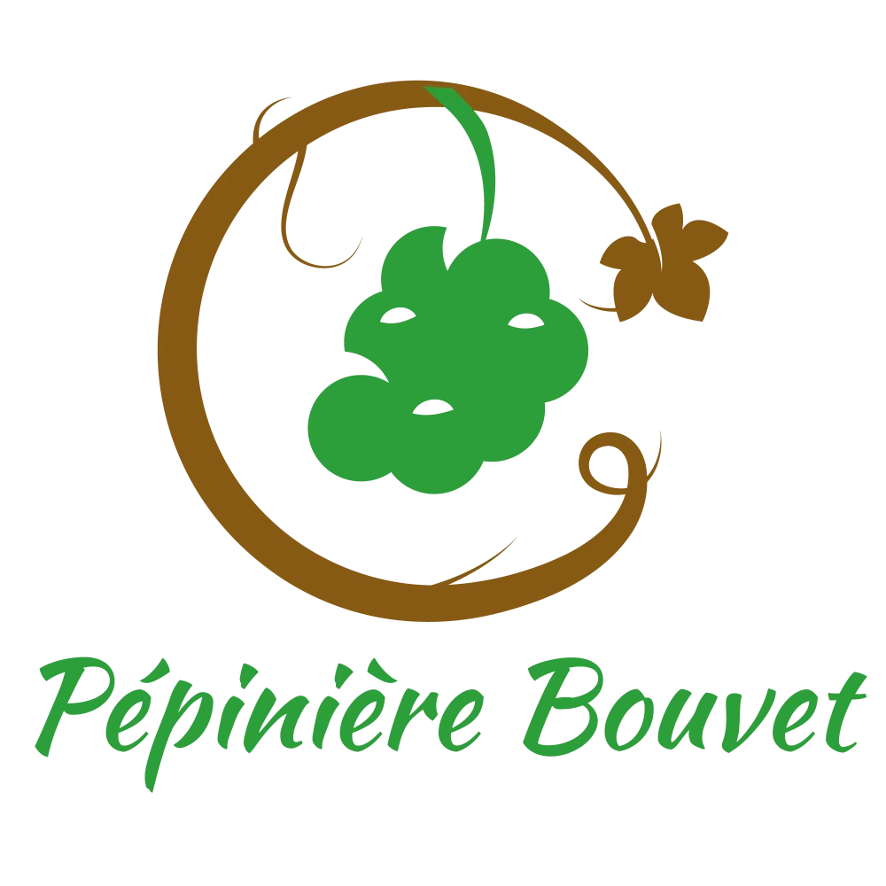 Logo YVAN BOUVET