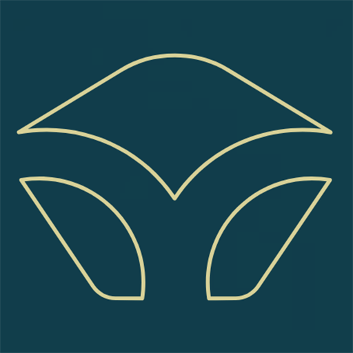 Logo YZICO