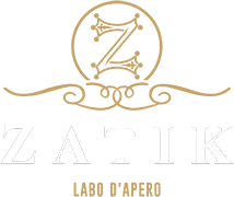 Logo ZATIK